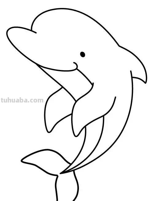 海洋动物简笔画高清线稿，终于会画鲸鱼，鲨鱼，海豚了
