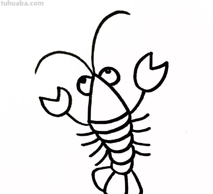 一大波海洋生物简笔画给你，快来抱走~