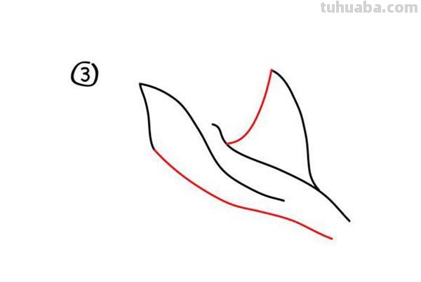 宝宝都是小画家：超容易简笔画傻瓜教程海洋生物篇（图）