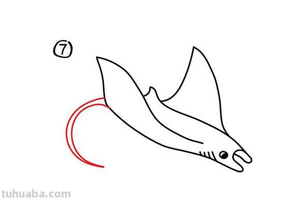 宝宝都是小画家：超容易简笔画傻瓜教程海洋生物篇（图）