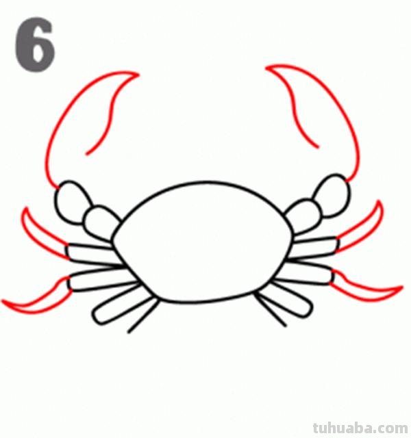 宝宝都是小画家：超容易简笔画傻瓜教程海洋生物篇（图）