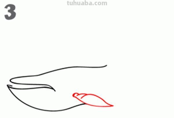 宝宝都是小画家：超容易简笔画傻瓜教程海洋生物篇（图）