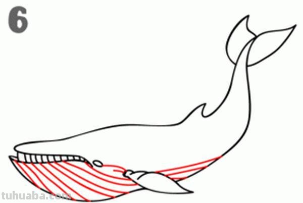 宝宝都是小画家：超容易简笔画傻瓜教程海洋生物篇（图）