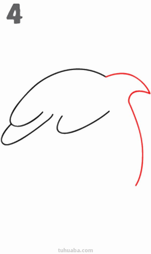 宝宝都是小画家：超容易简笔画傻瓜教程海洋生物篇（图）