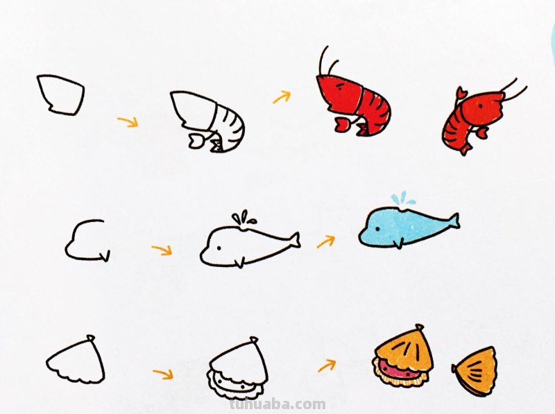 爱美术，爱动物，手帐中的简笔画-海洋动物