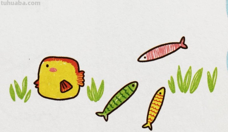 爱美术，爱动物，手帐中的简笔画-海洋动物