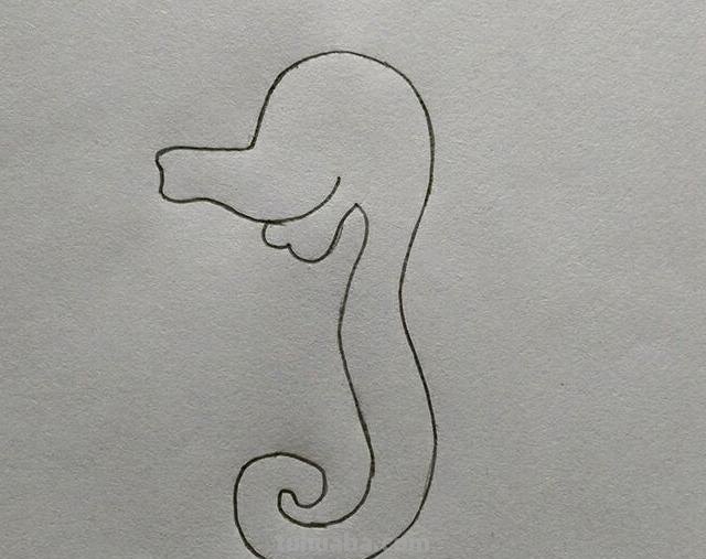 简笔画 教你画海洋生物小可爱海马