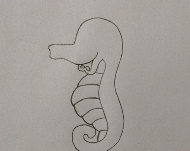 简笔画 教你画海洋生物小可爱海马