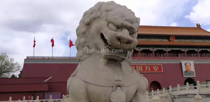 来撸会念经的“大猫”？