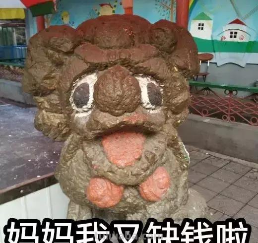 来撸会念经的“大猫”？