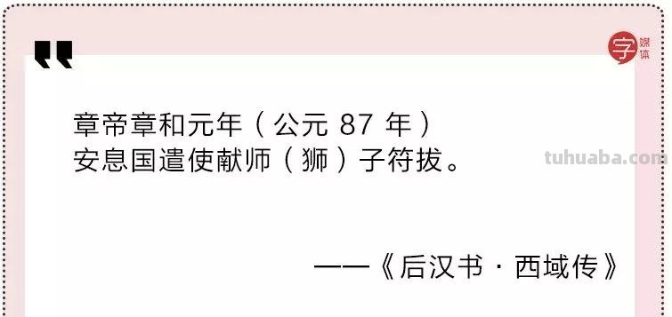 来撸会念经的“大猫”？