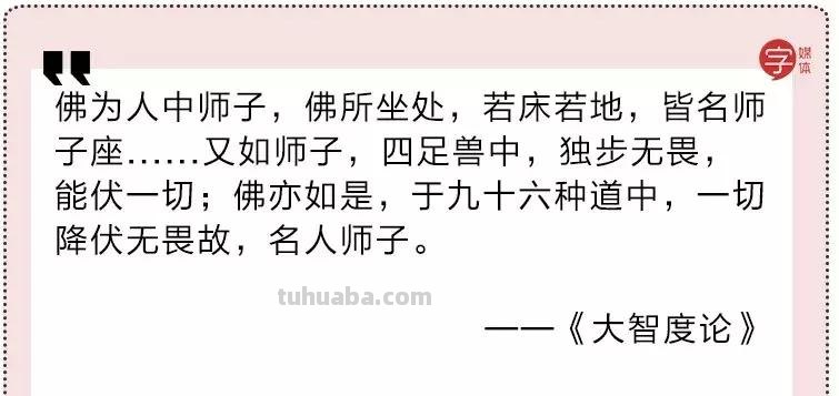 来撸会念经的“大猫”？