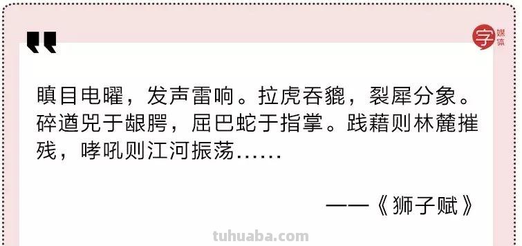 来撸会念经的“大猫”？