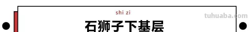 来撸会念经的“大猫”？