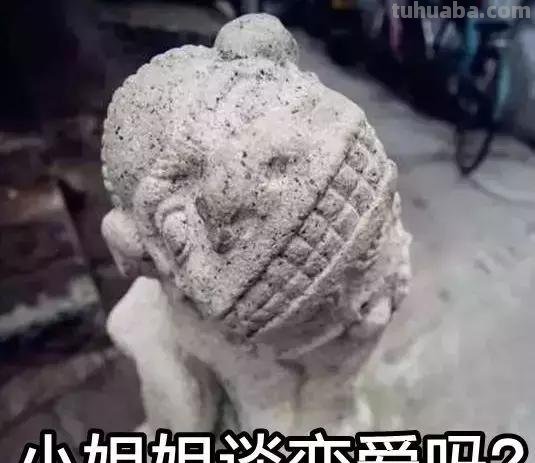 来撸会念经的“大猫”？