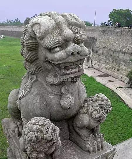 来撸会念经的“大猫”？