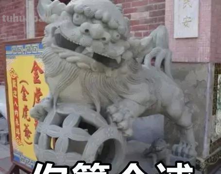 来撸会念经的“大猫”？