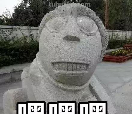 来撸会念经的“大猫”？