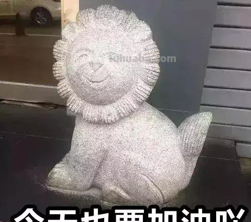 来撸会念经的“大猫”？