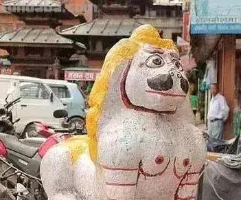 来撸会念经的“大猫”？