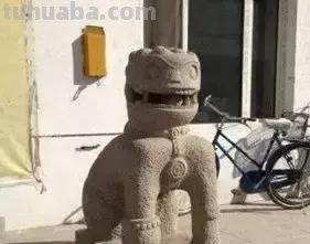 来撸会念经的“大猫”？