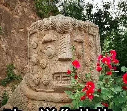 来撸会念经的“大猫”？