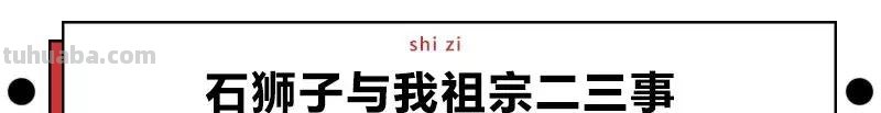 来撸会念经的“大猫”？
