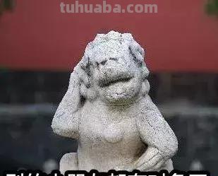 来撸会念经的“大猫”？