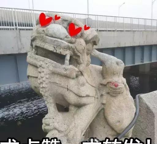 来撸会念经的“大猫”？