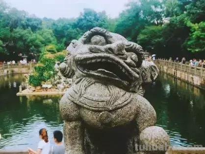 来撸会念经的“大猫”？