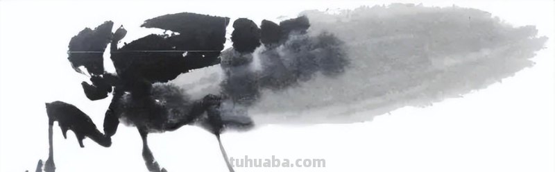 国画技法 - 国画入门之蝉的画法
