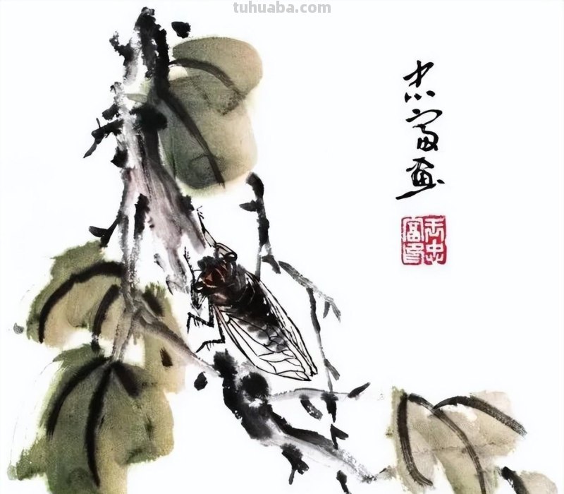 国画技法 - 国画入门之蝉的画法