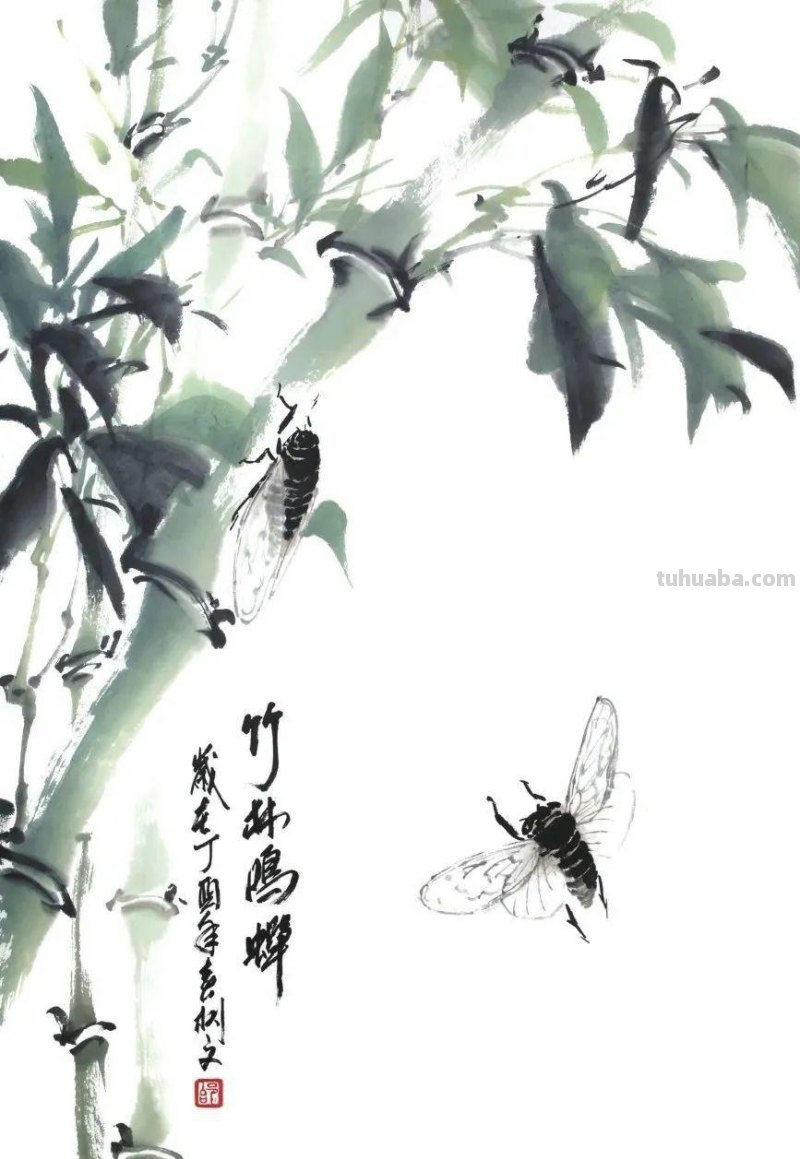 国画技法 - 国画入门之蝉的画法