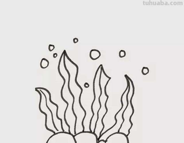 水草怎么画简笔画(水草怎么画简笔画图片) 水草怎么画简笔画(水草怎么画简笔画图片)