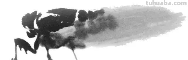 蝉的100副名家国画，画法详解