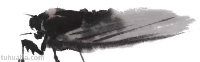 蝉的100副名家国画，画法详解