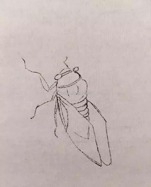 蝉的100副名家国画，画法详解