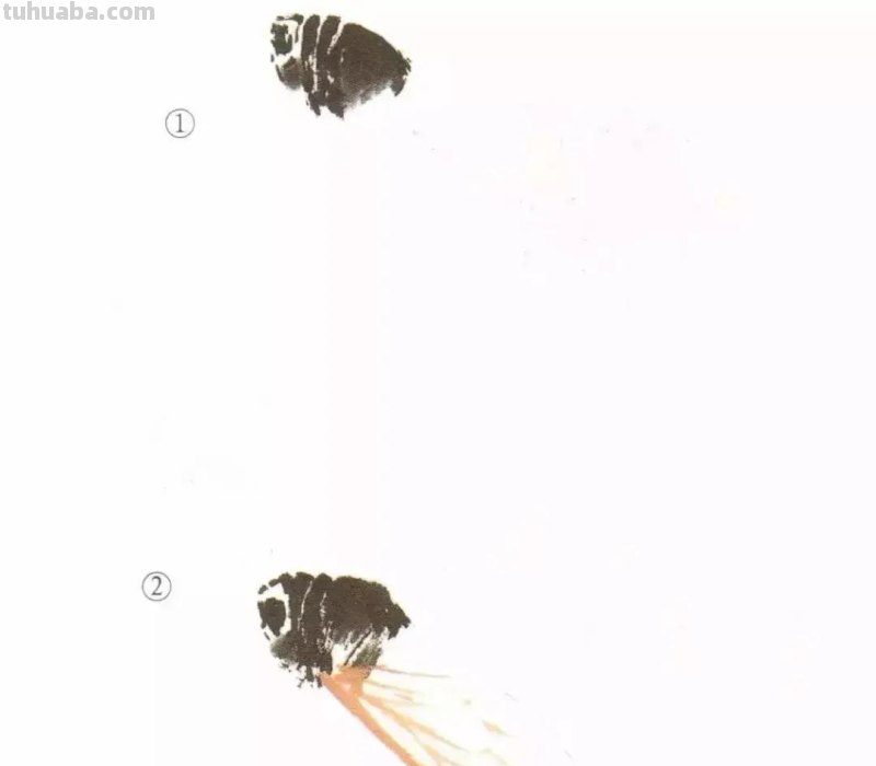 蝉的100副名家国画，画法详解