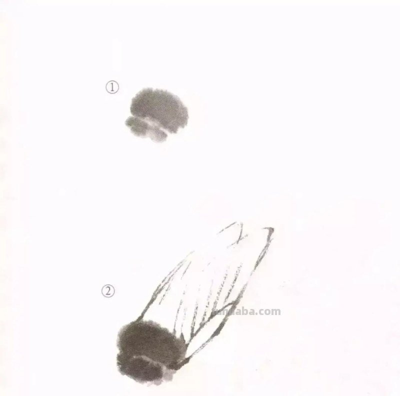 蝉的100副名家国画，画法详解