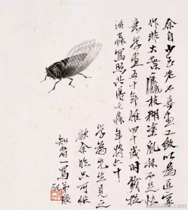 蝉的100副名家国画，画法详解