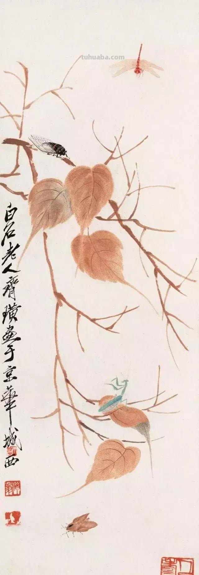 蝉的100副名家国画，画法详解