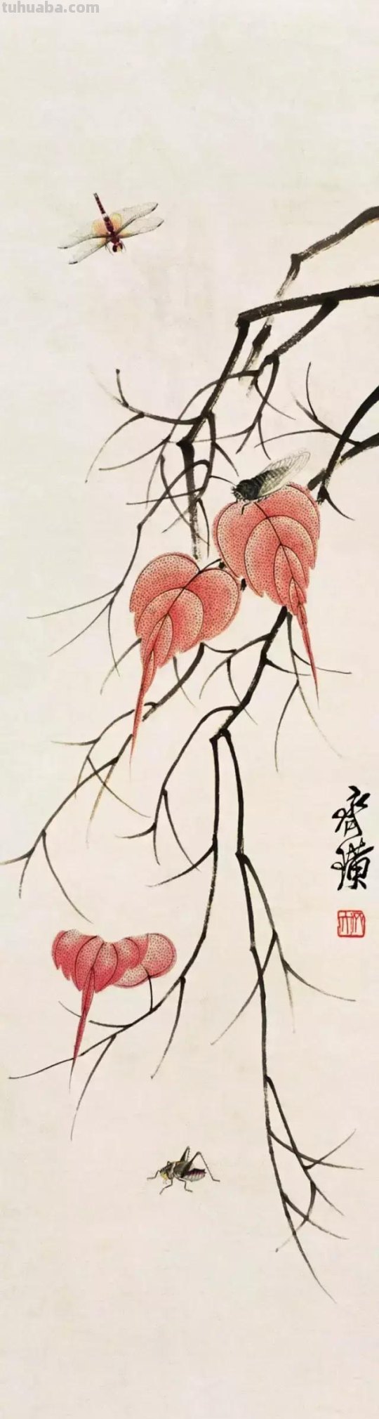 蝉的100副名家国画，画法详解