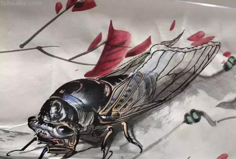 蝉的100副名家国画，画法详解