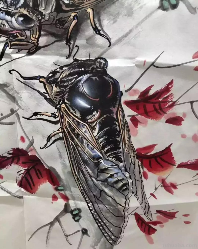 蝉的100副名家国画，画法详解