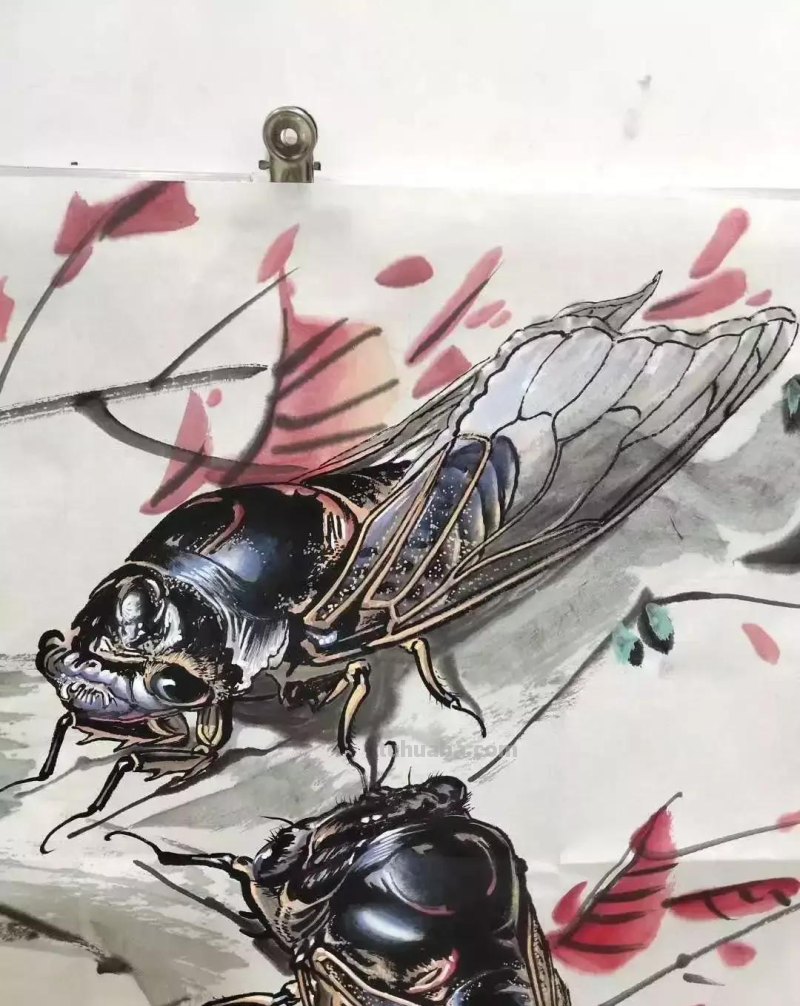 蝉的100副名家国画，画法详解