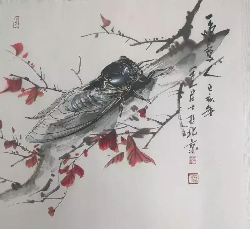 蝉的100副名家国画，画法详解