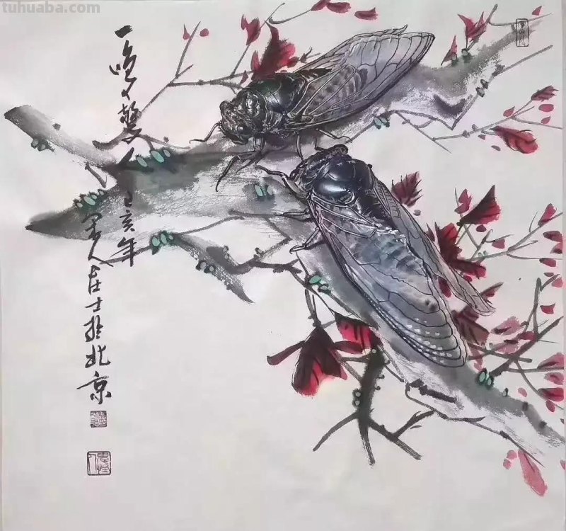 蝉的100副名家国画，画法详解