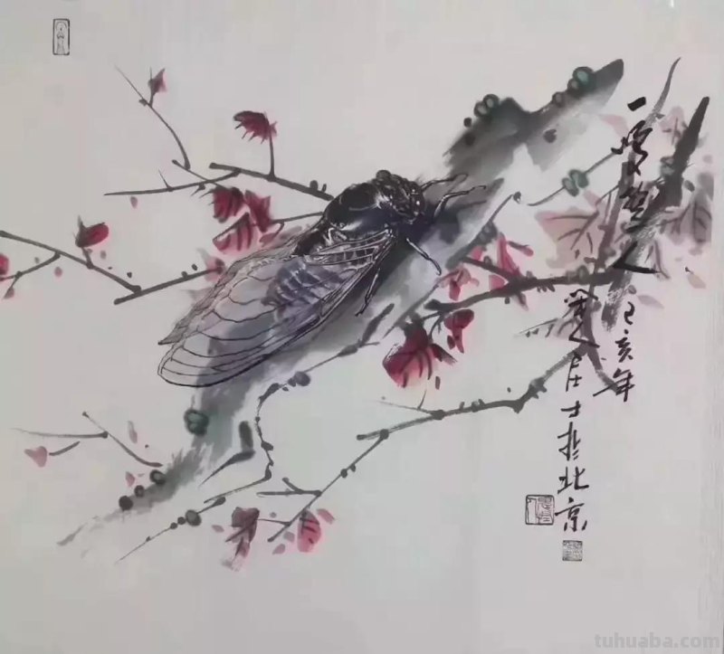 蝉的100副名家国画，画法详解