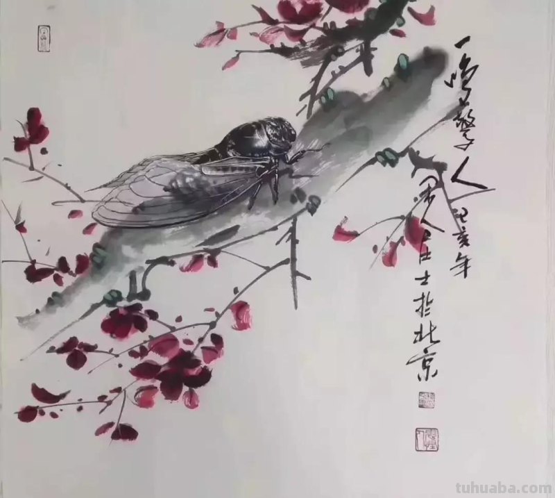 蝉的100副名家国画，画法详解