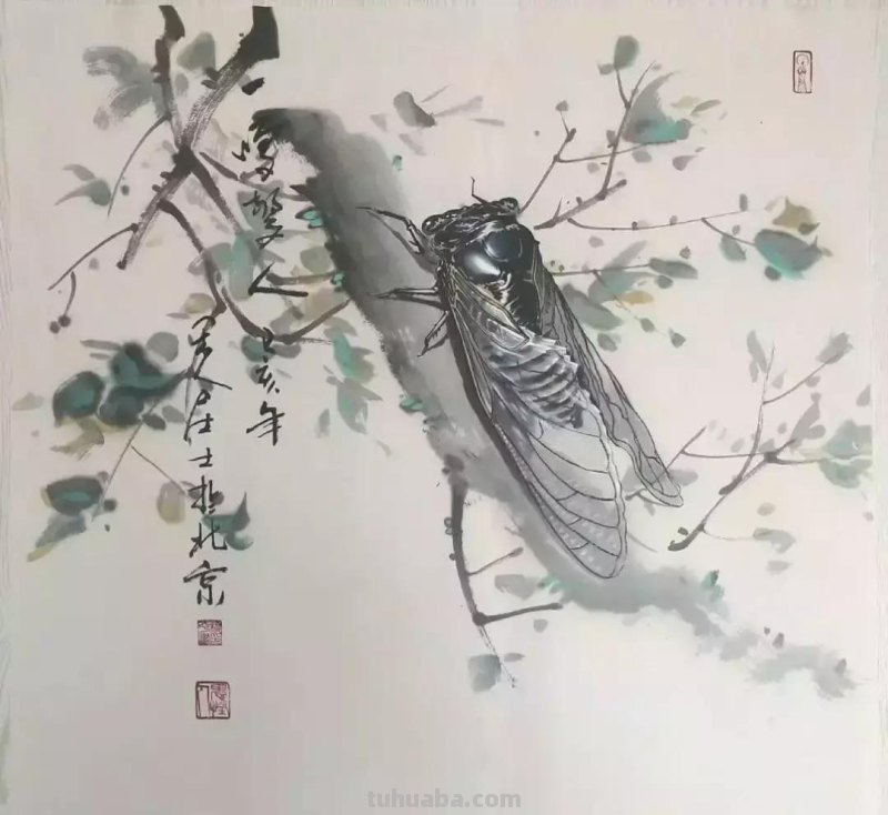 蝉的100副名家国画，画法详解